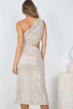 Amadea Dress - Beige -Reverse Sale Store Amadea Dress Beige Dresses womens dresses womens clothing 3